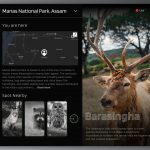 National Park Travel Guide Website Template